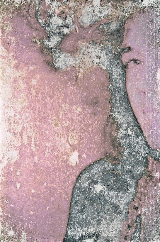 photography by Jennifer Martinez Darling